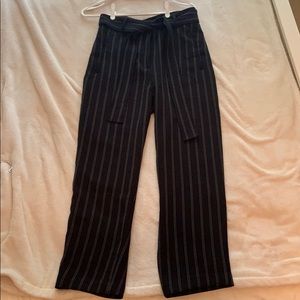 Aritzia Pants